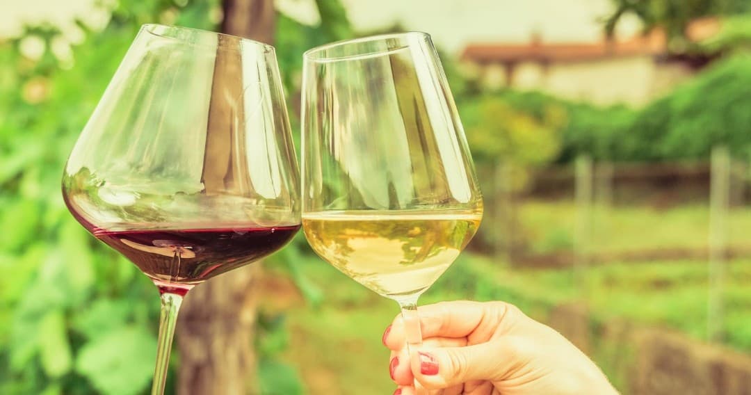 Natural Wine Tasting with Farm-to-Table Cold Cuts