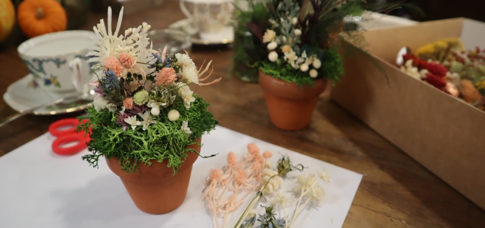 Mini Garden Crafternoon @ Nottingham City Centre