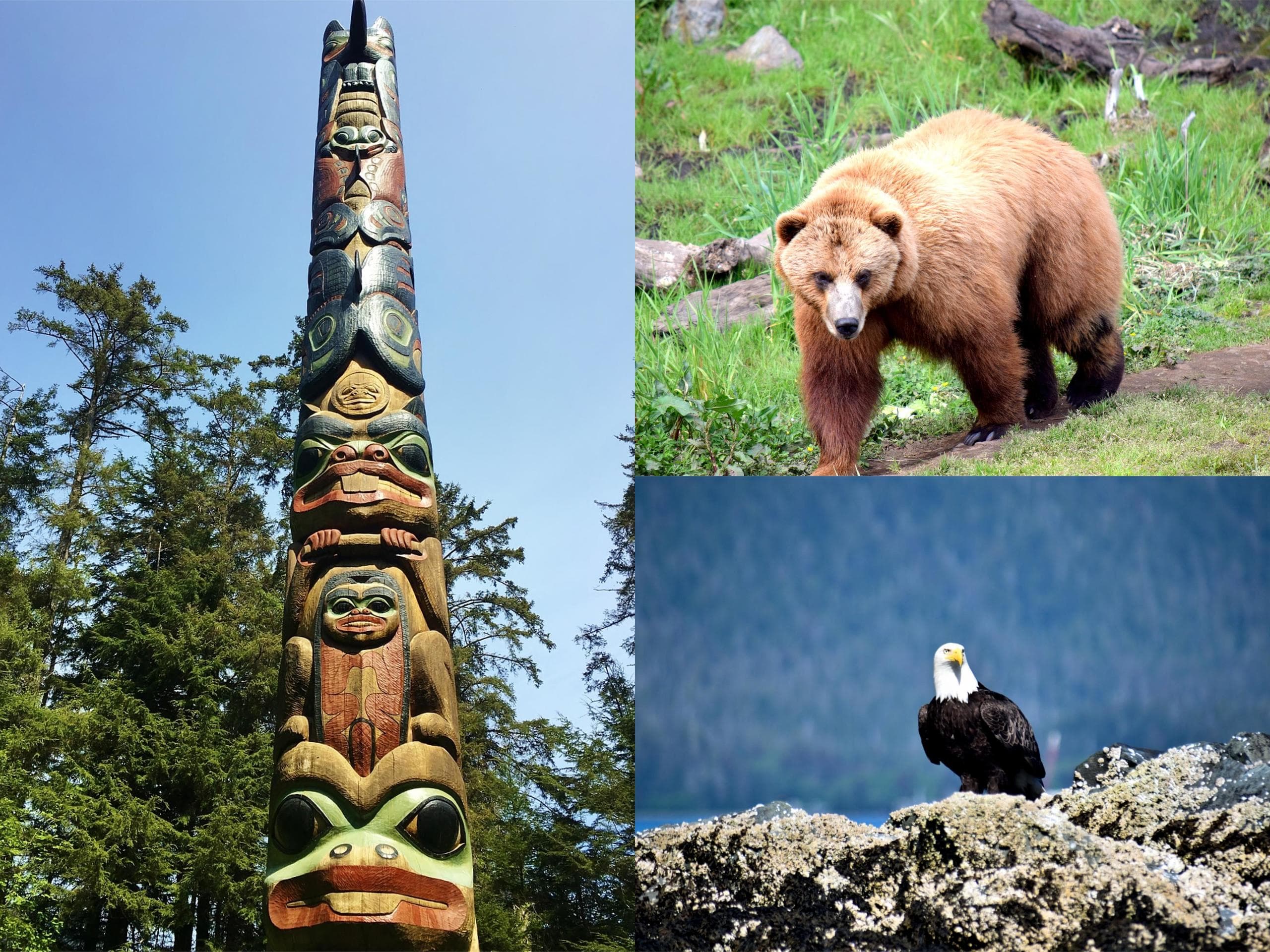 The Best of Sitka Deluxe Private Tour