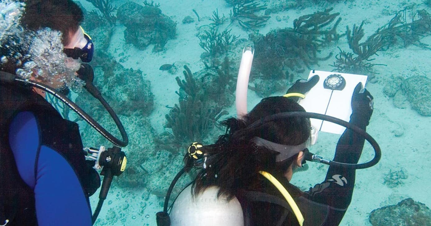 PADI Underwater Navigator