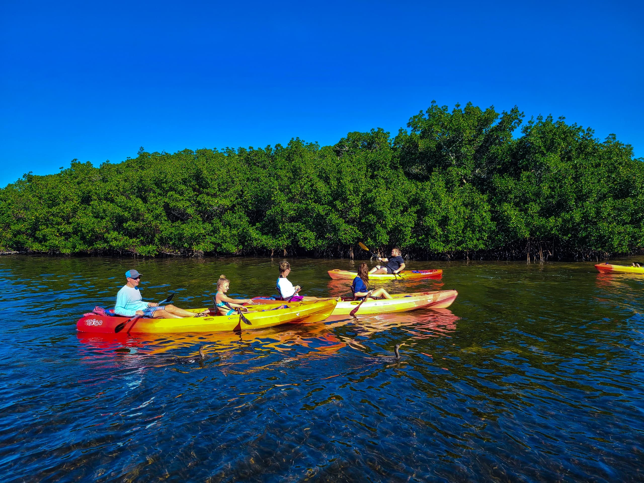 Siesta Key Kayak and Paddleboard Rentals