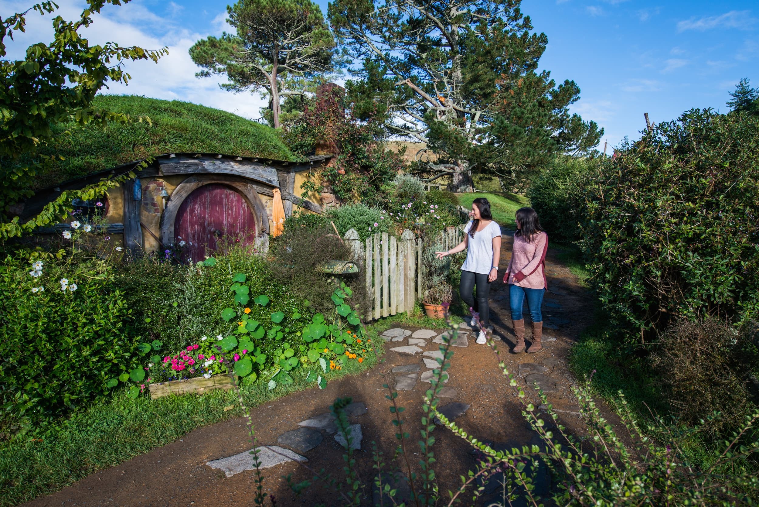 Hobbiton Private Transfer Tour