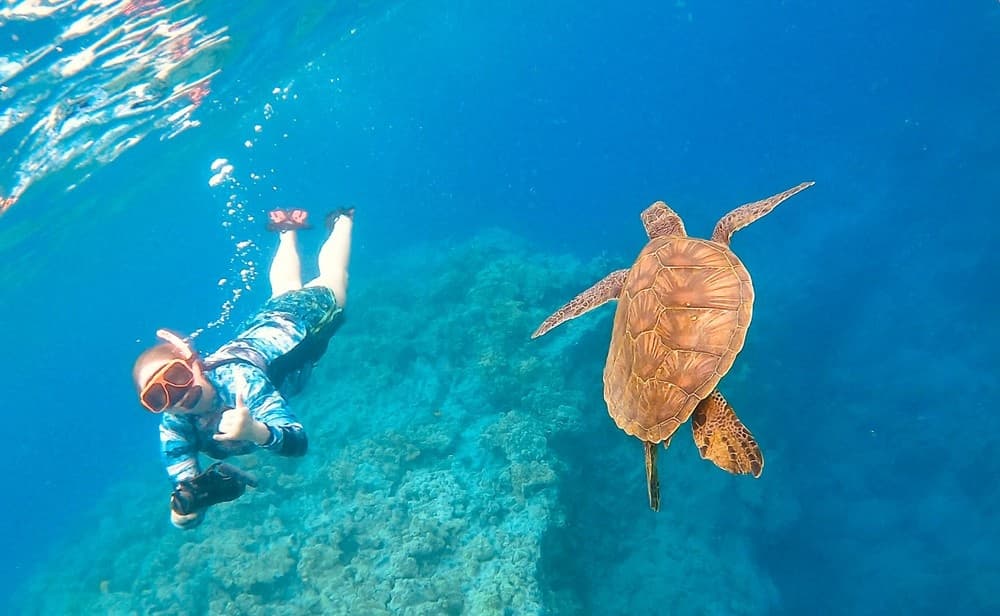 Guided Sea Scooter Snorkel - Kona