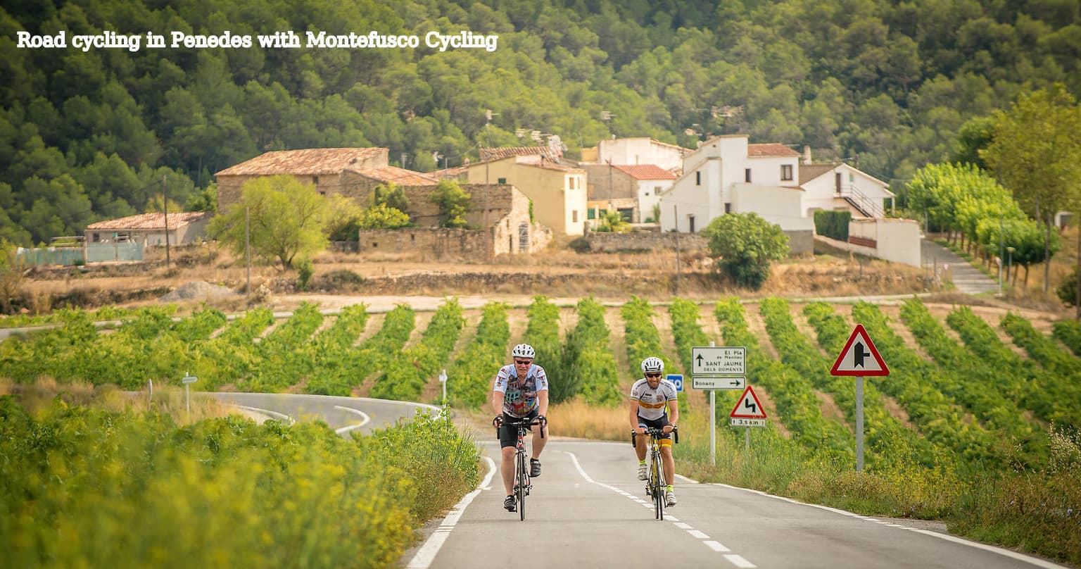 The Vineyards and Wineries Tour of Penedes - Barcelona