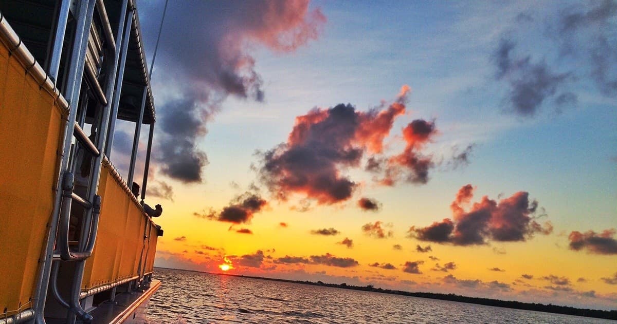 Sunset Dolphin & Wildlife Cruise