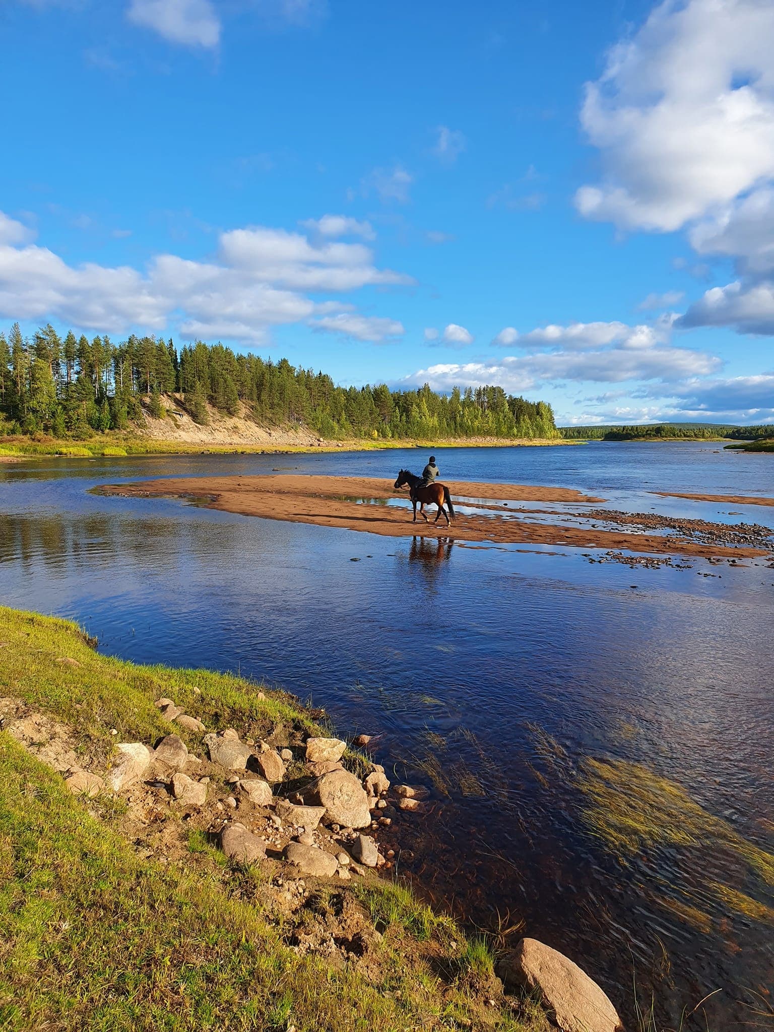 Midnight Sun Ride in Rovaniemi – With Optional Transport Included