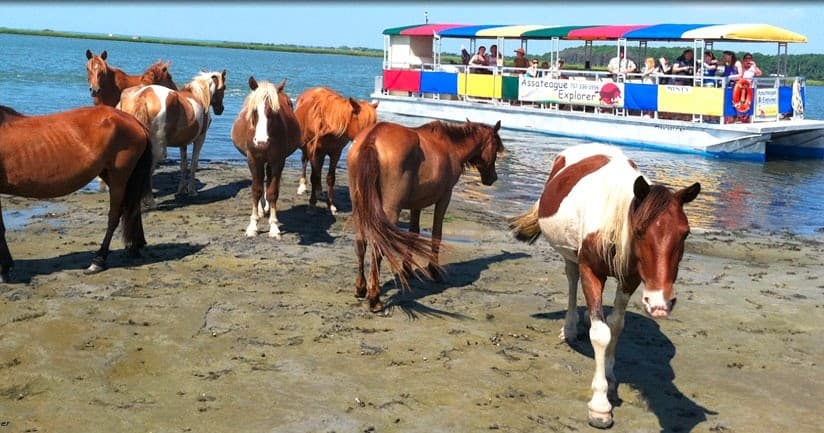 PONY EXPRESS NATURE CRUISE