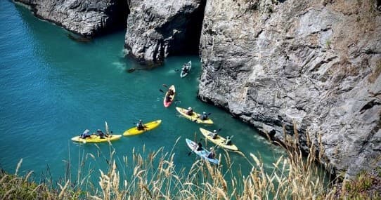 Sea Cave Nature Tour