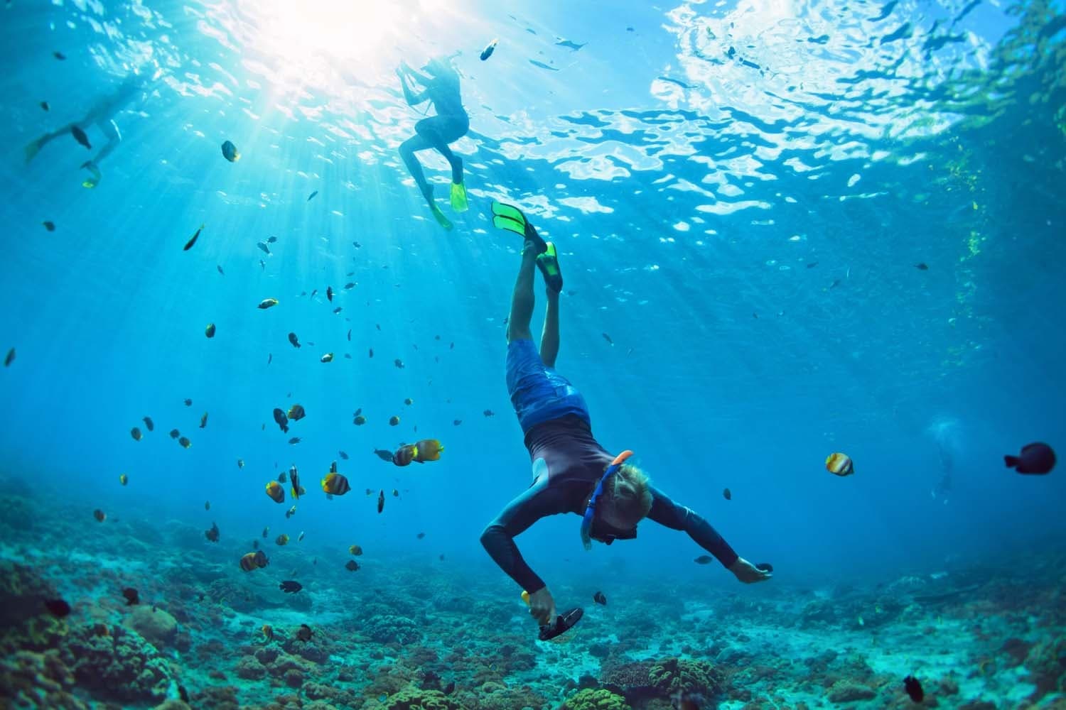 SNORKEL Lana'i: Adventure *Private Charter*