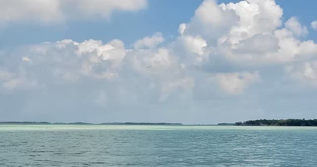 Private Sandbar Trips