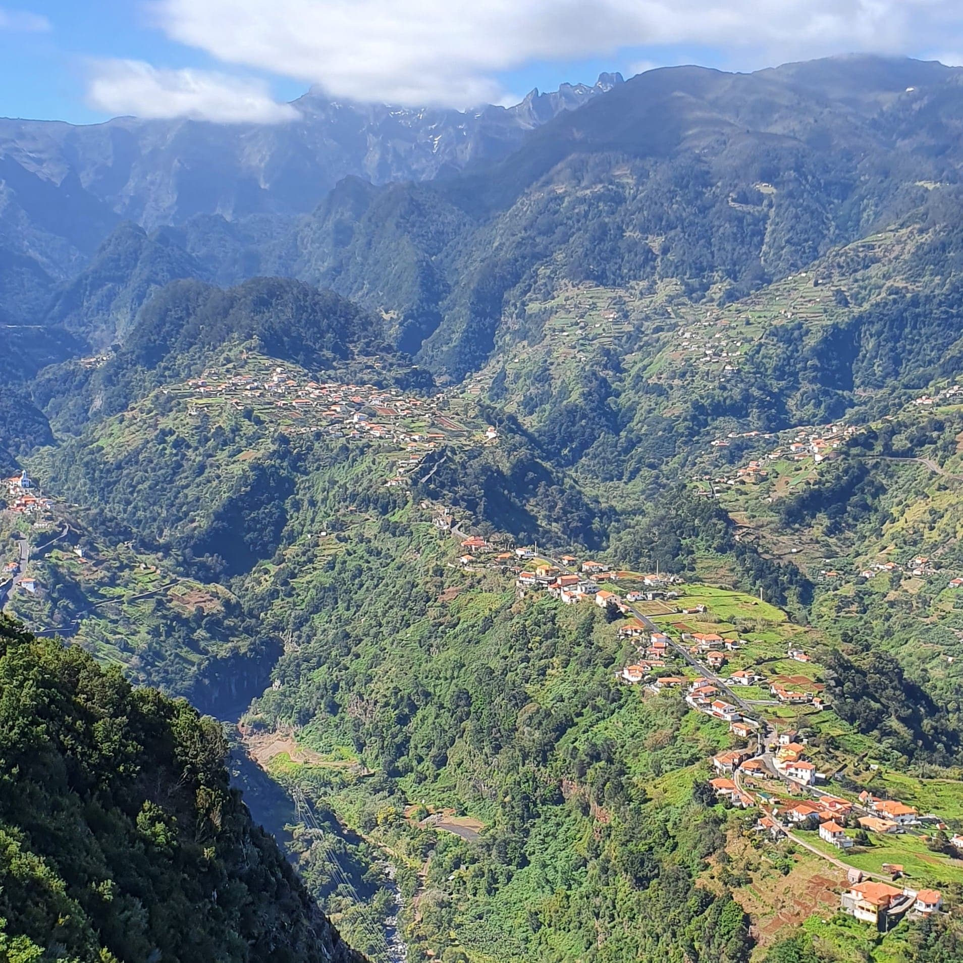 Madeira wine Tasting & halfday 4x4 tour