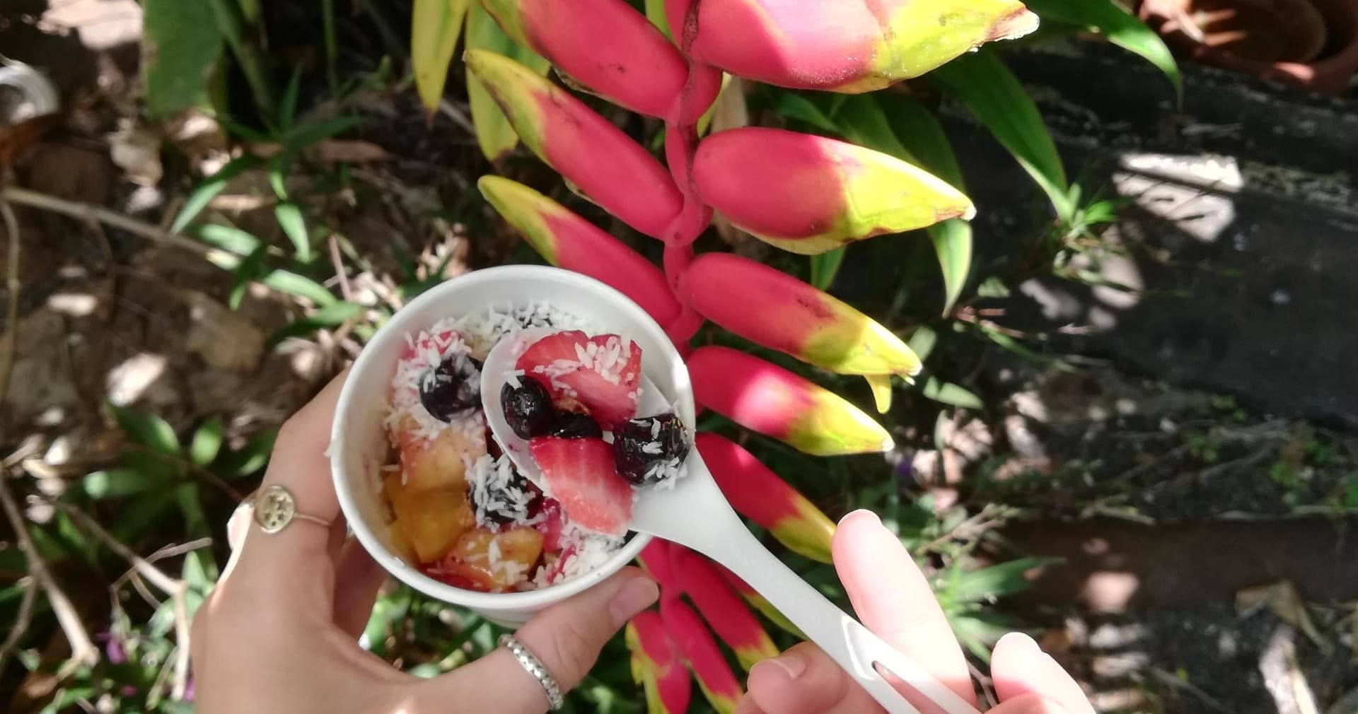 Hanapepe Walking Food Tour