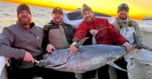 Offshore 12 Hours