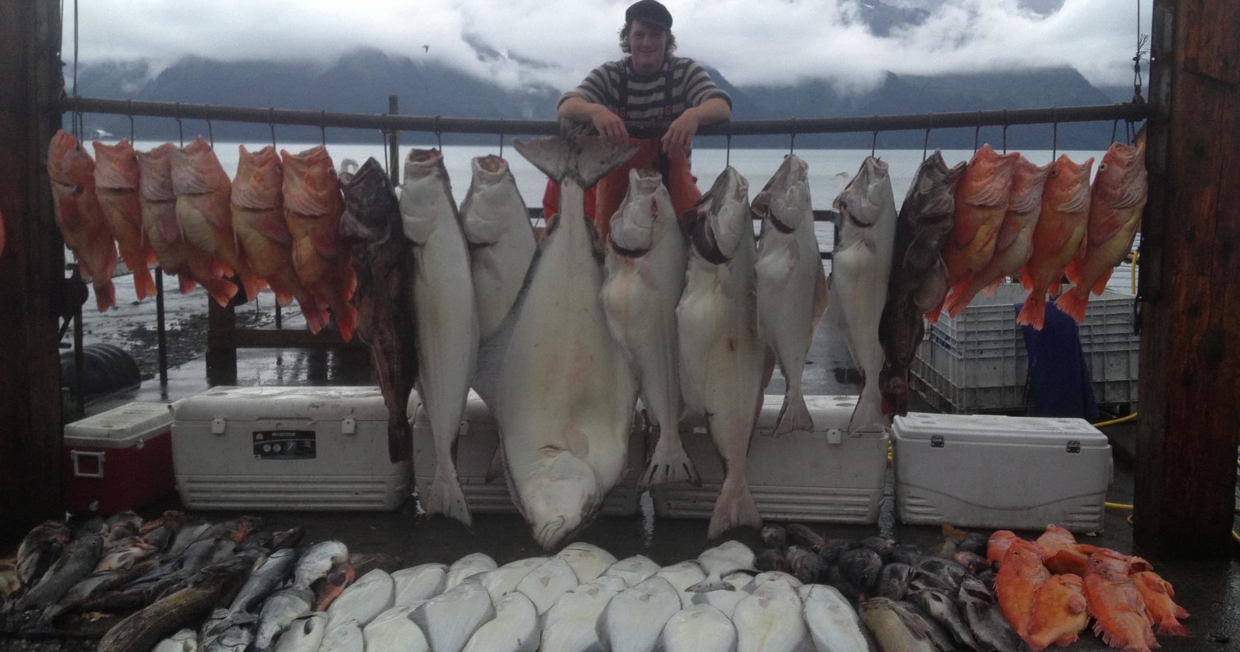 Halibut, Salmon, Rock Fish & Ling Cod* Multi Species Combo Fishing Charter