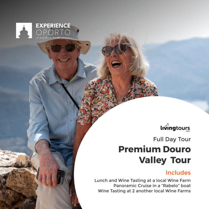 Premium Douro Valley Tour