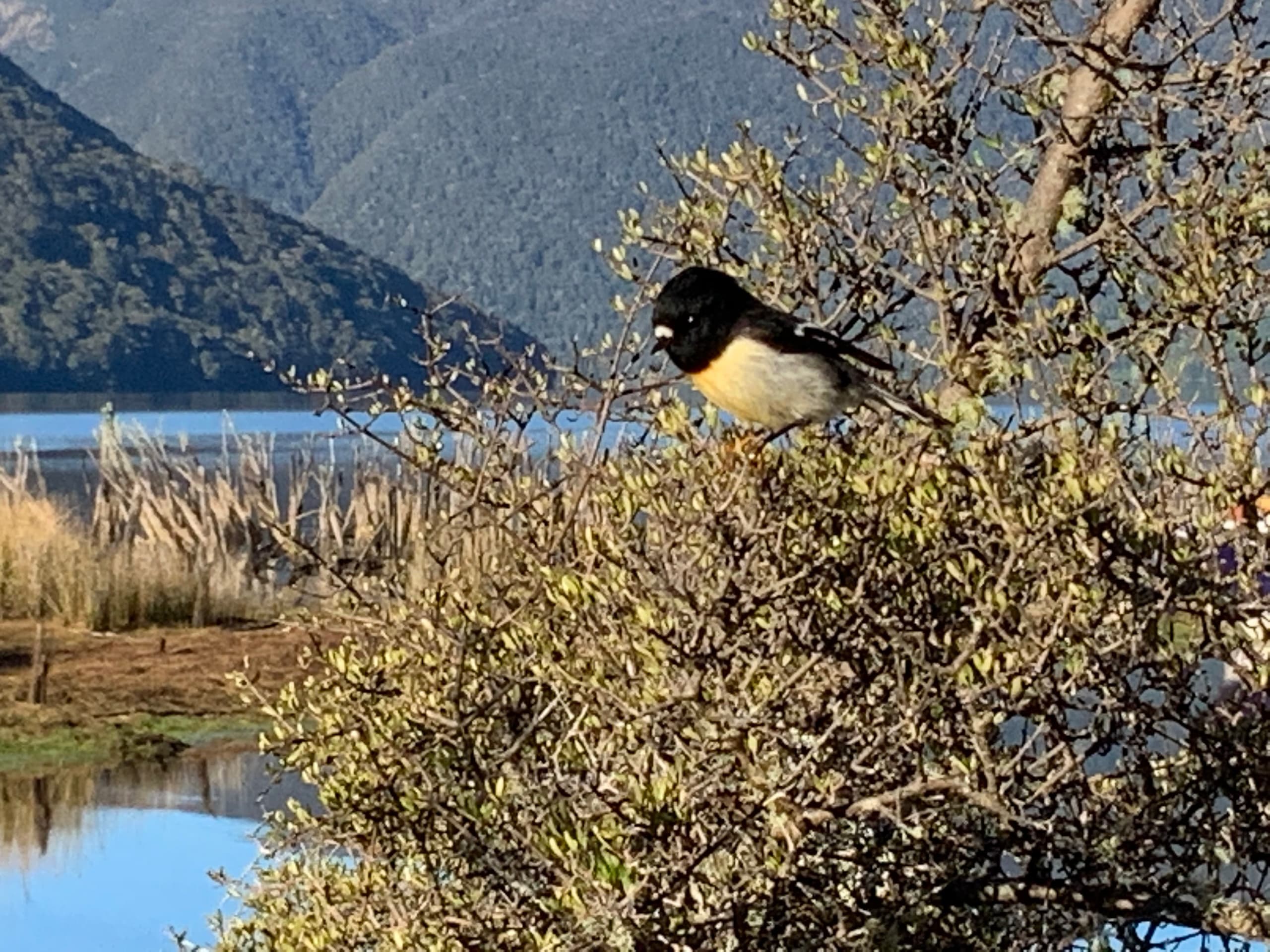 Invercargill to Te Anau