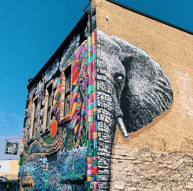 Murals & Public Art of Green Bay Segway Tour