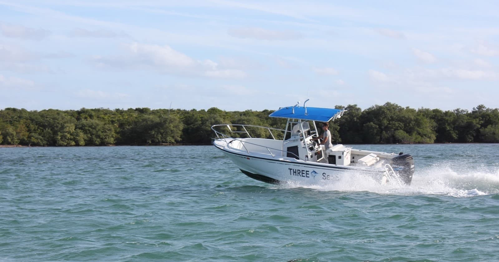 24' Boston Whaler
