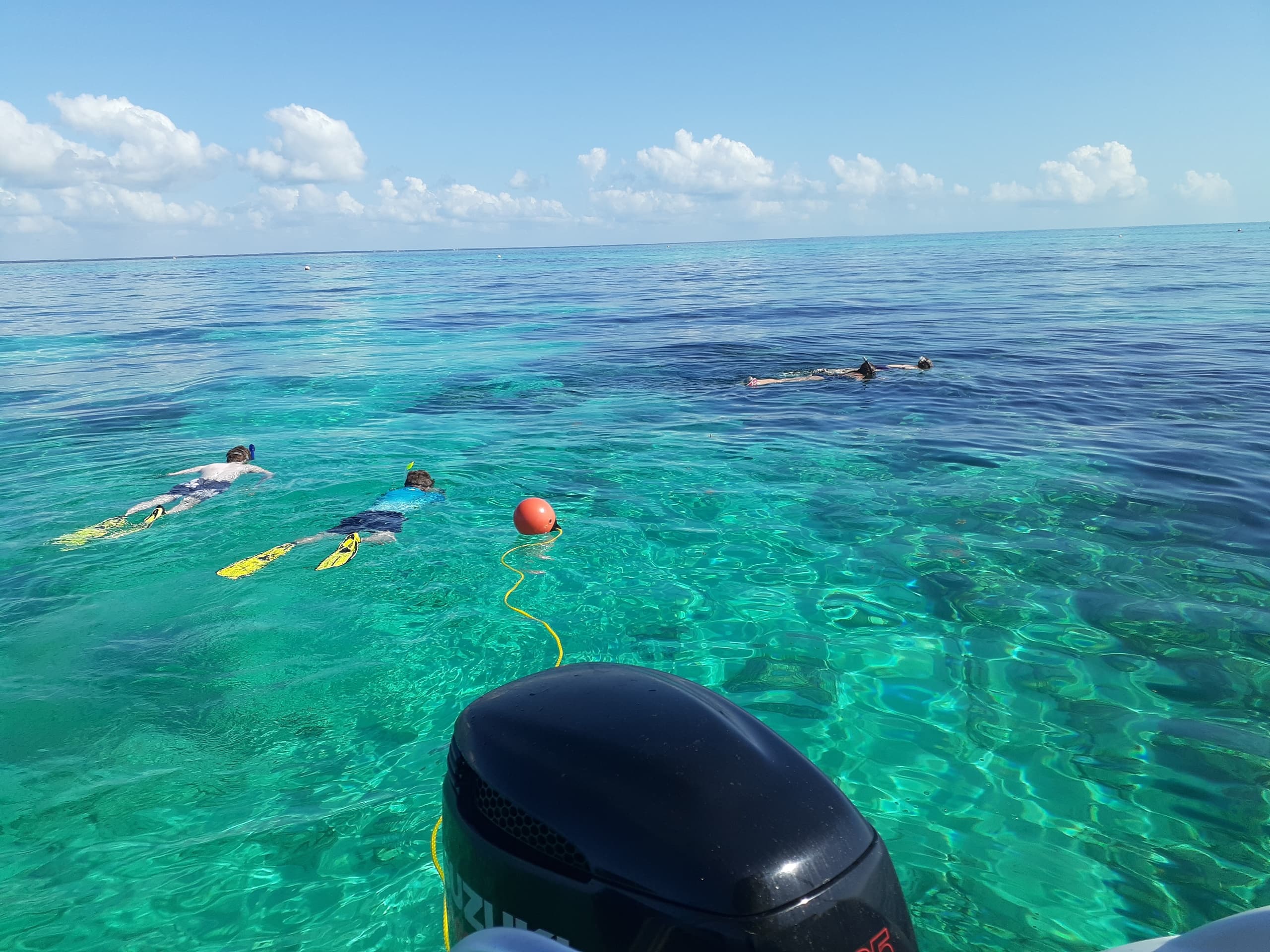 2.5 Hour Private Snorkel Tours