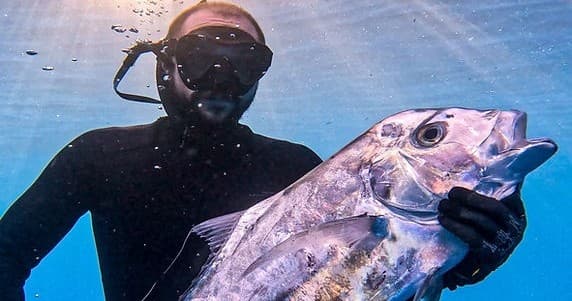 Spearfishing Charters