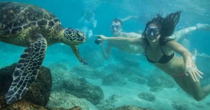 Canoe & Snorkel Adventure