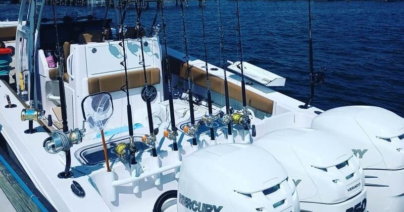 8 Hour Gulf Fishing