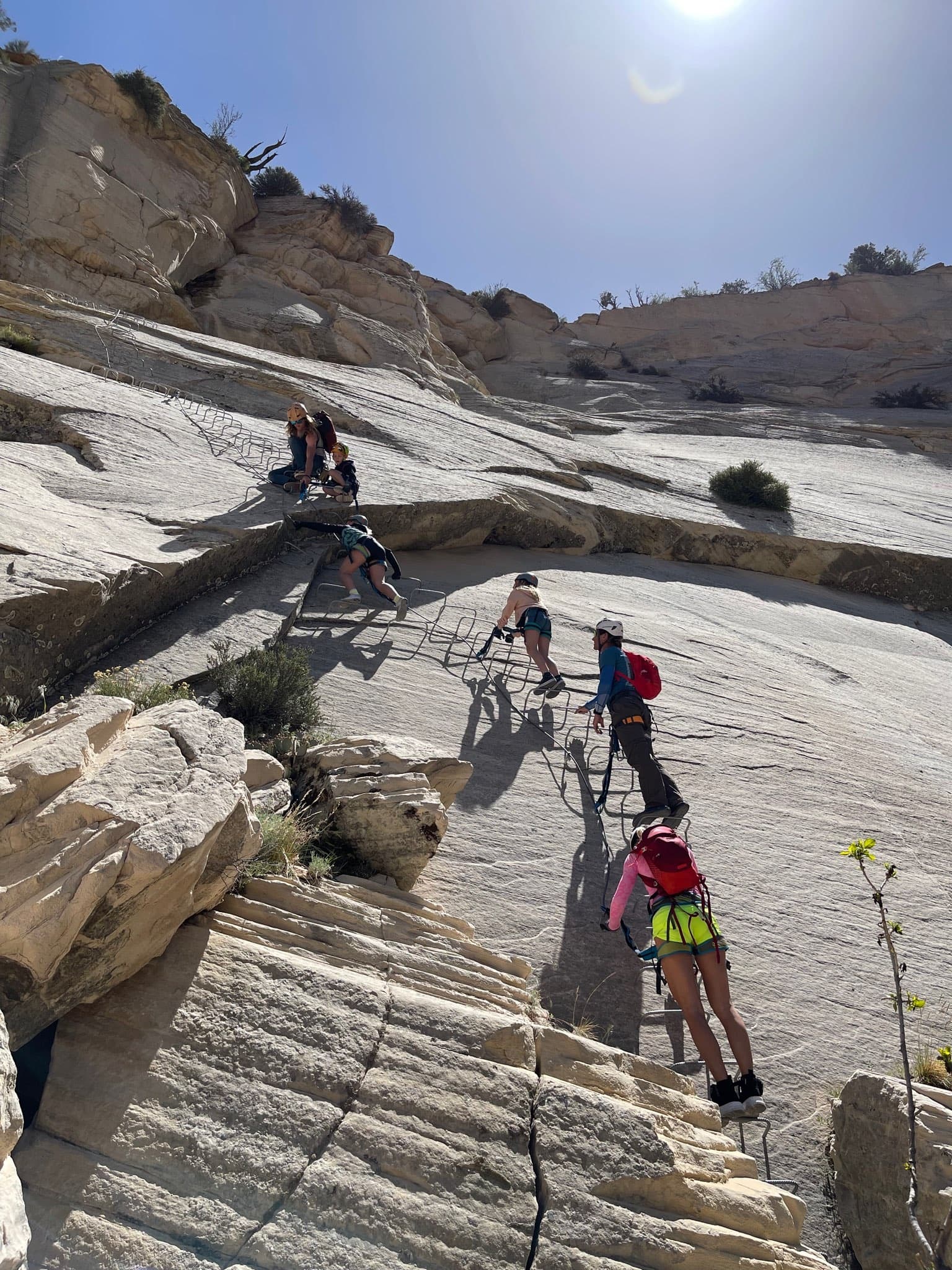 3 Hr Elk Heart Cliffs Rappelling and Ropes Course - Via Ferrata