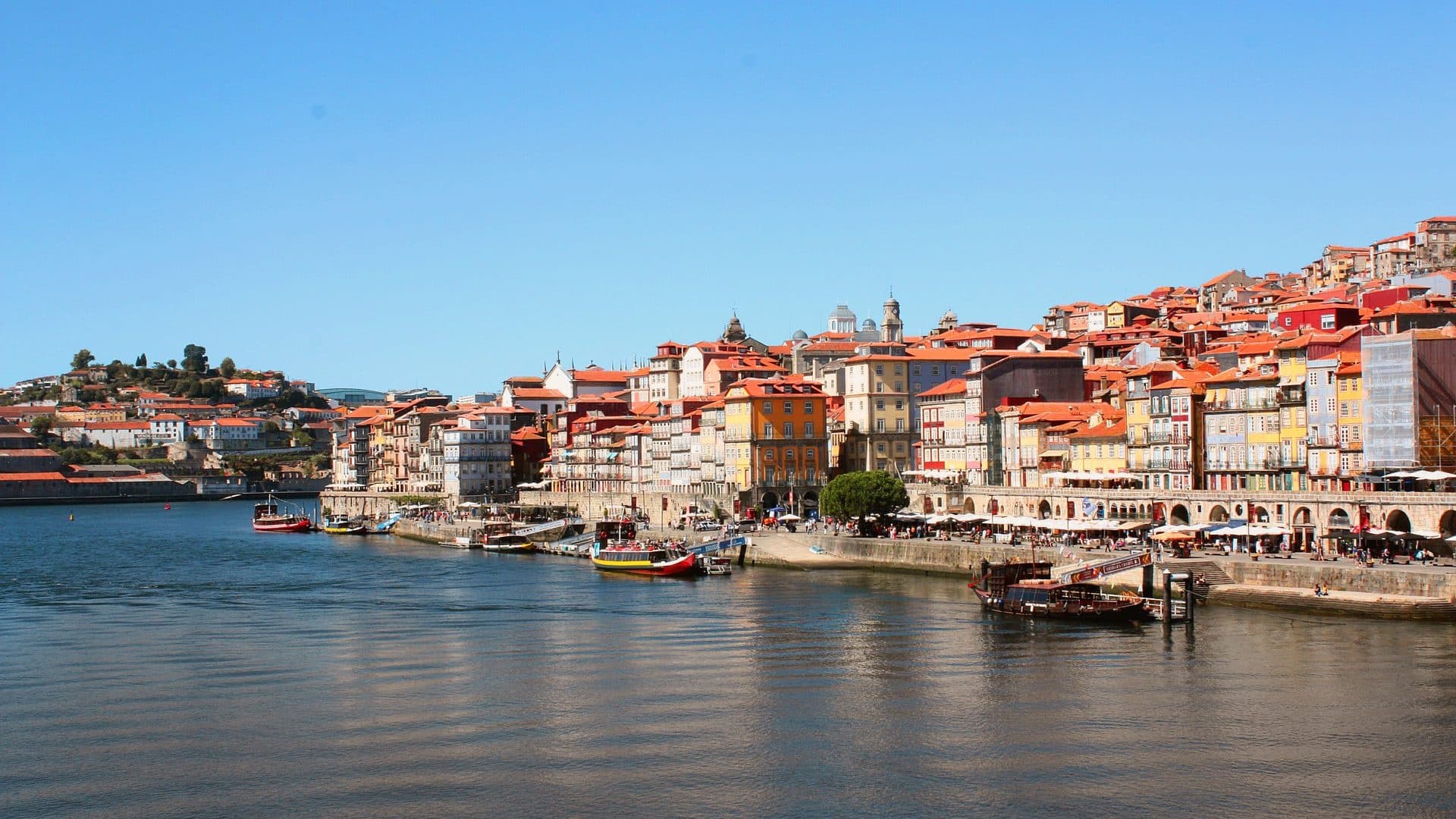 Tour Privado do Porto – Experiência Personalizável