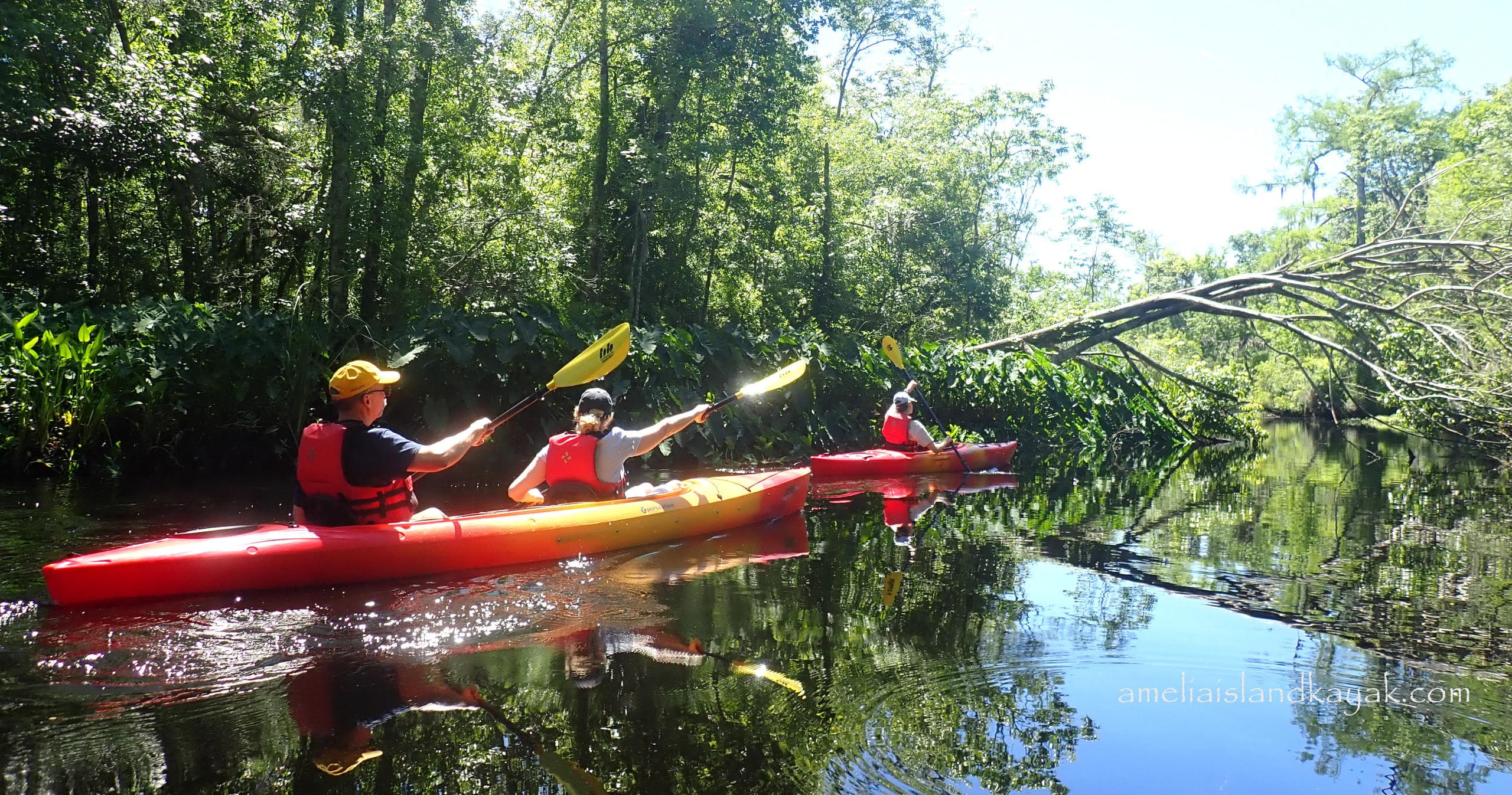 Lofton Creek Tour