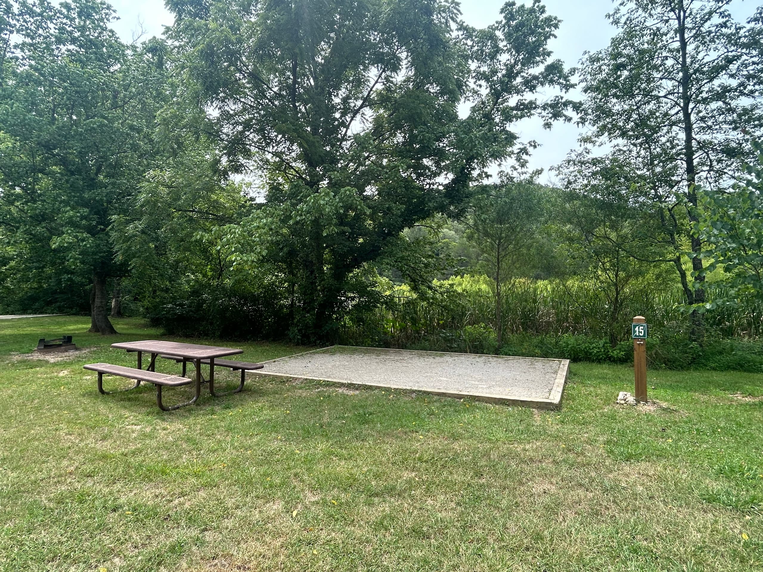 Meadow Campsite 15 (M15)