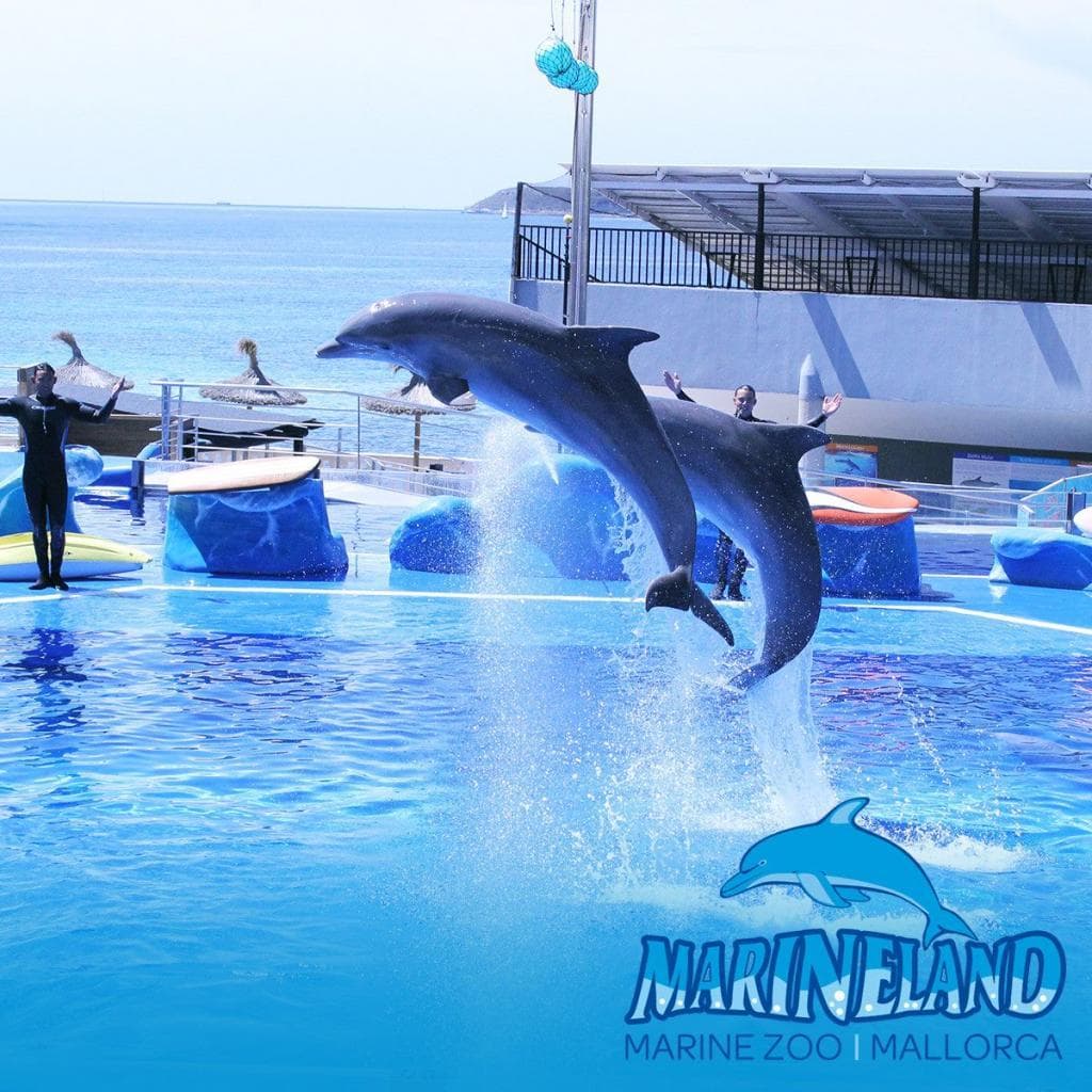 Entradas Marineland Mallorca