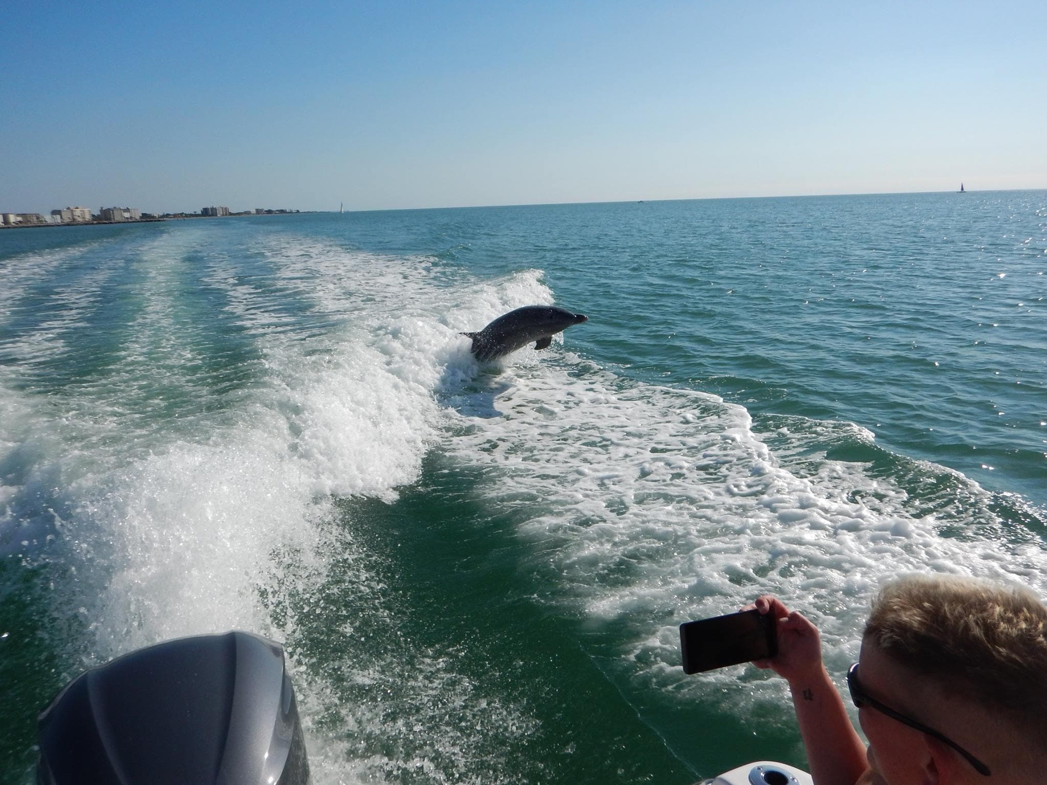 Two Hour Dolphin and Manatee Adventure
