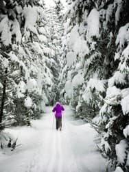 Cross Country Ski Tour in Glacier National Park