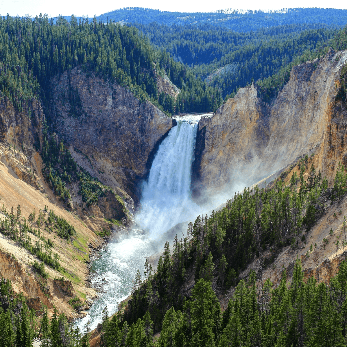 Public Yellowstone in a Day