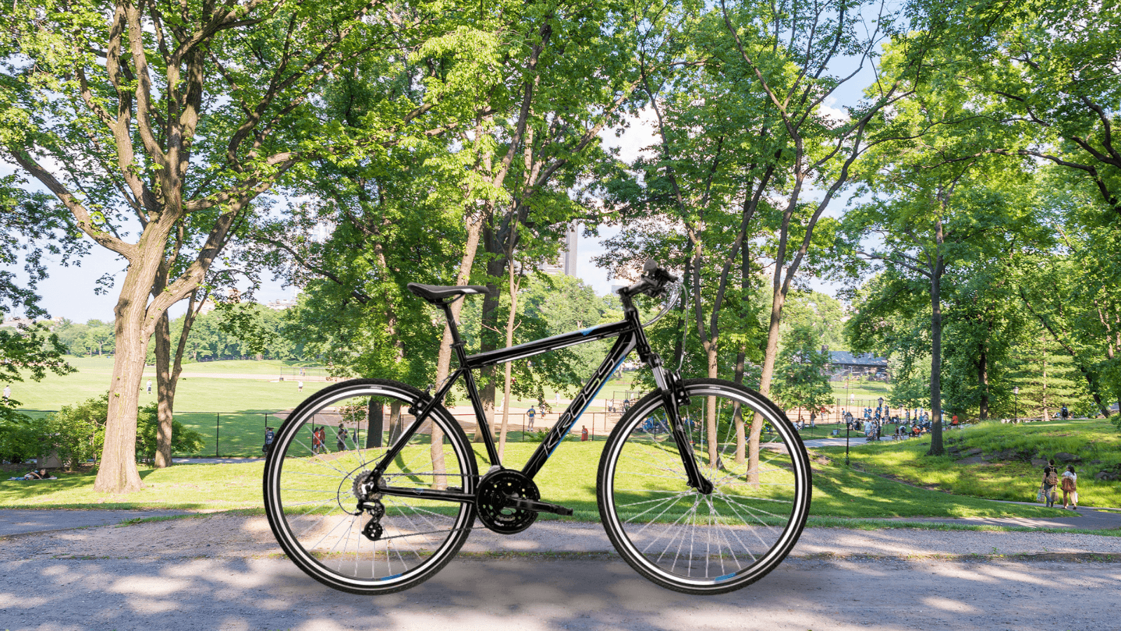 Hybrid Bike Day  Rental