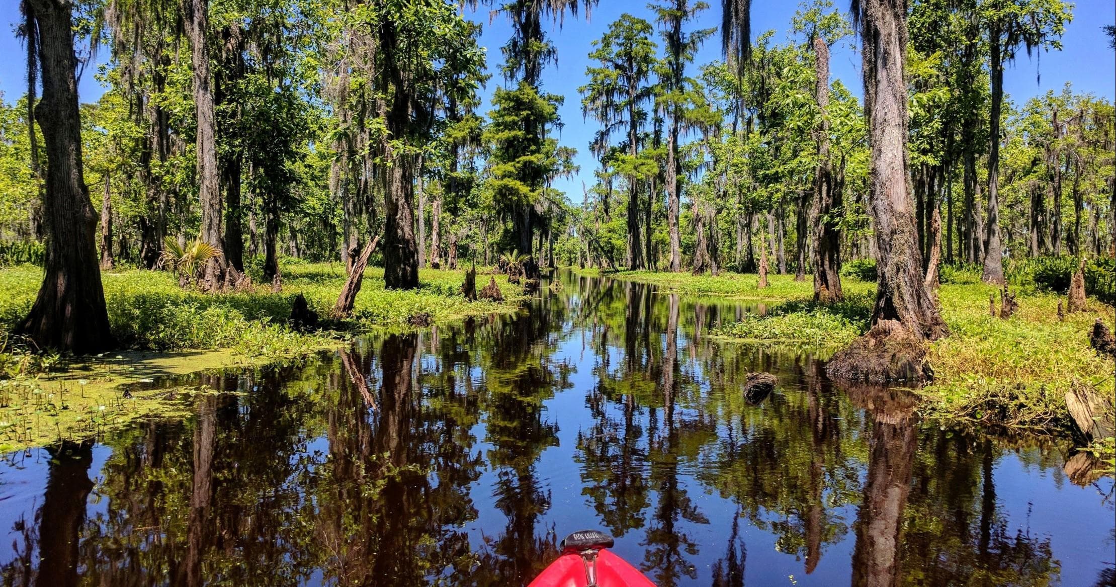 Extended Manchac Kayak Tour