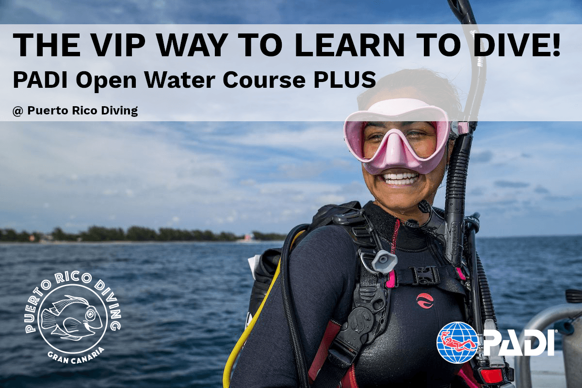 PADI Open Water PLUS Deposit
