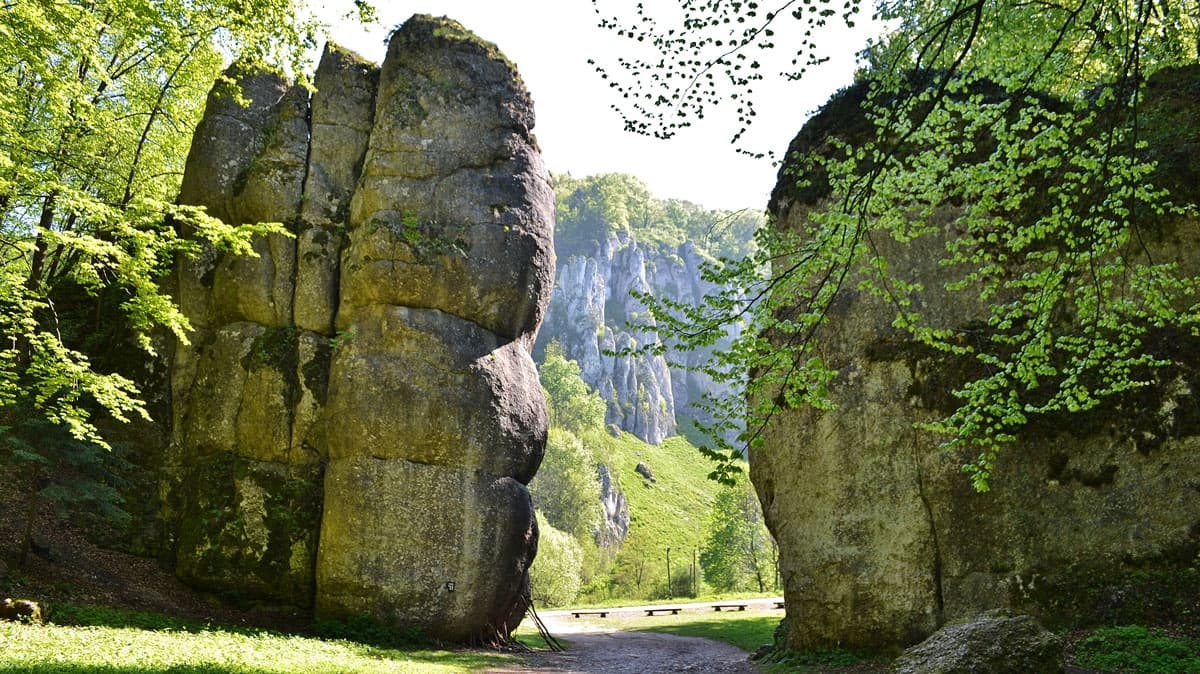 Romantic Walk in a Park with Trout Tasting - for Nature Lovers!