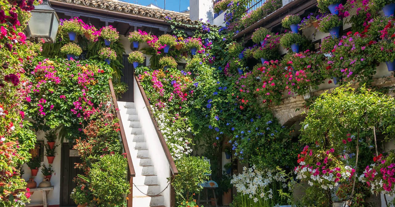 Pack Oferta Patios de Córdoba""