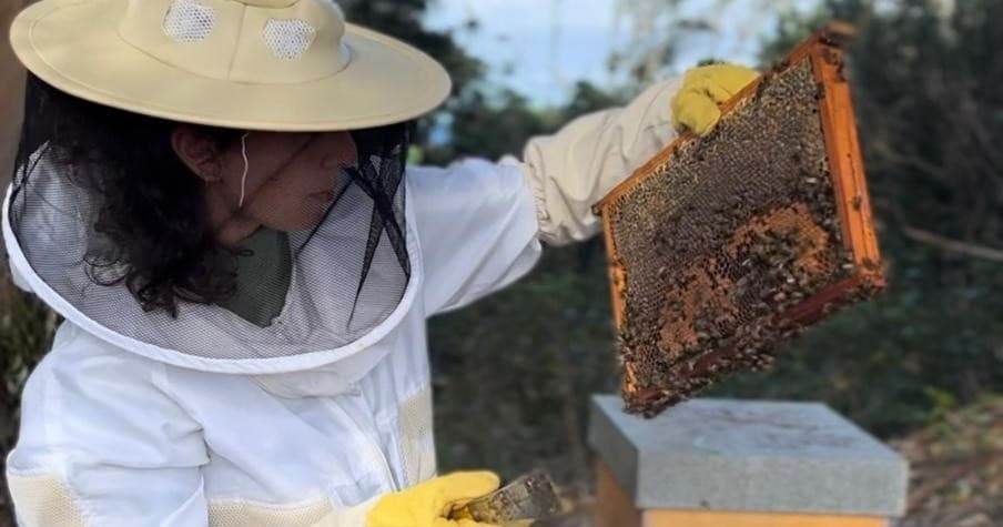 Azores Beekeeping Experience