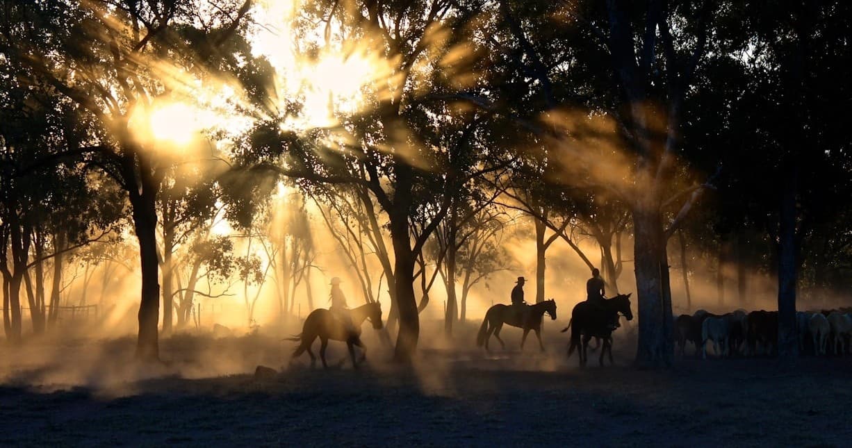 Half Hour Private Riding Lessons