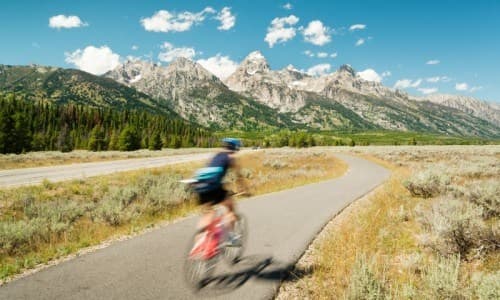 Grand Teton Half Day Private Bike Tour
