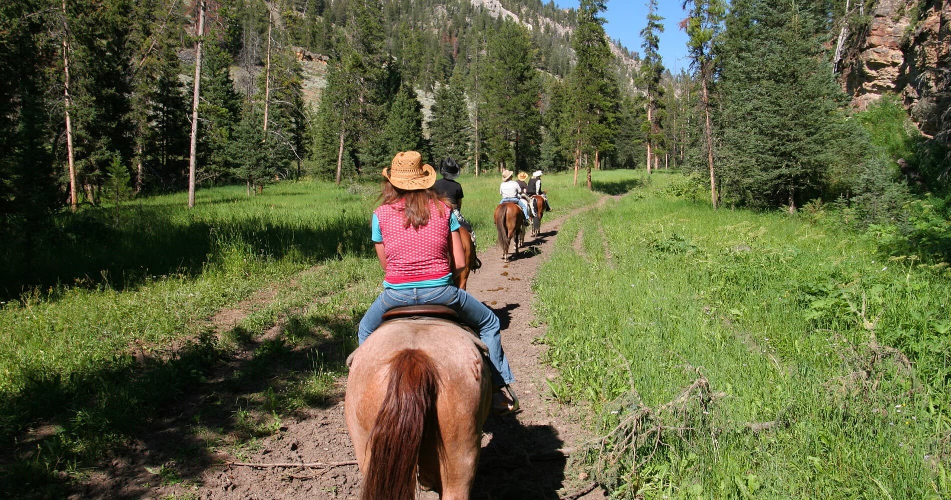 Saddle Paddle Browns Canyon Mid- Horseback Riding & Rafting