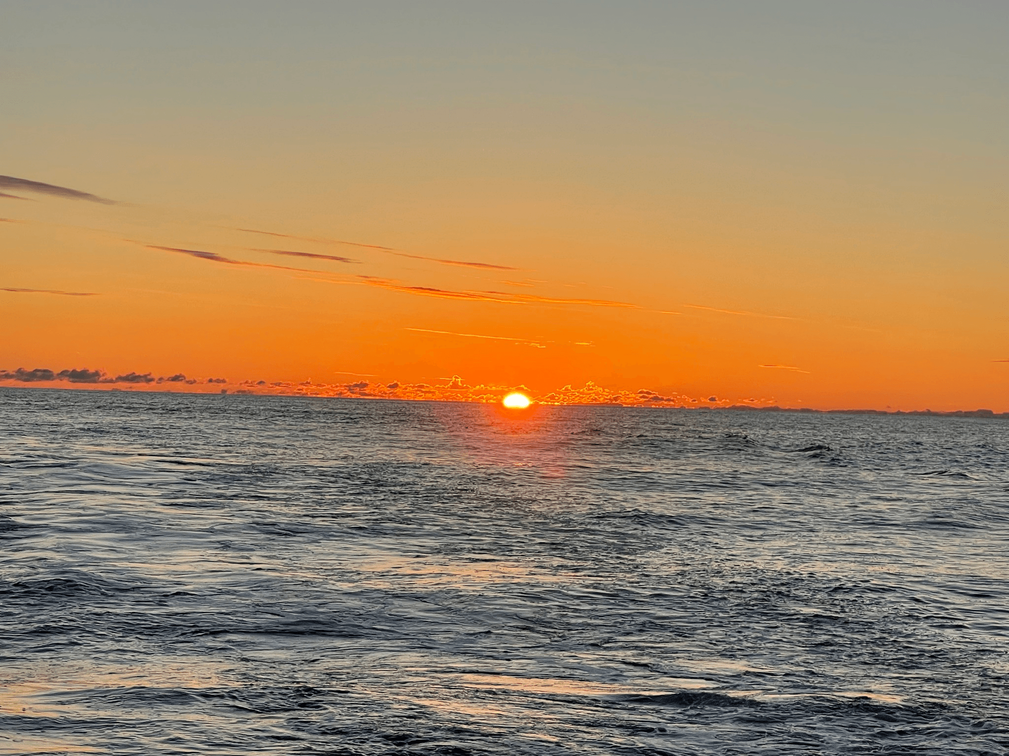 Sunset Cruise - Shark River