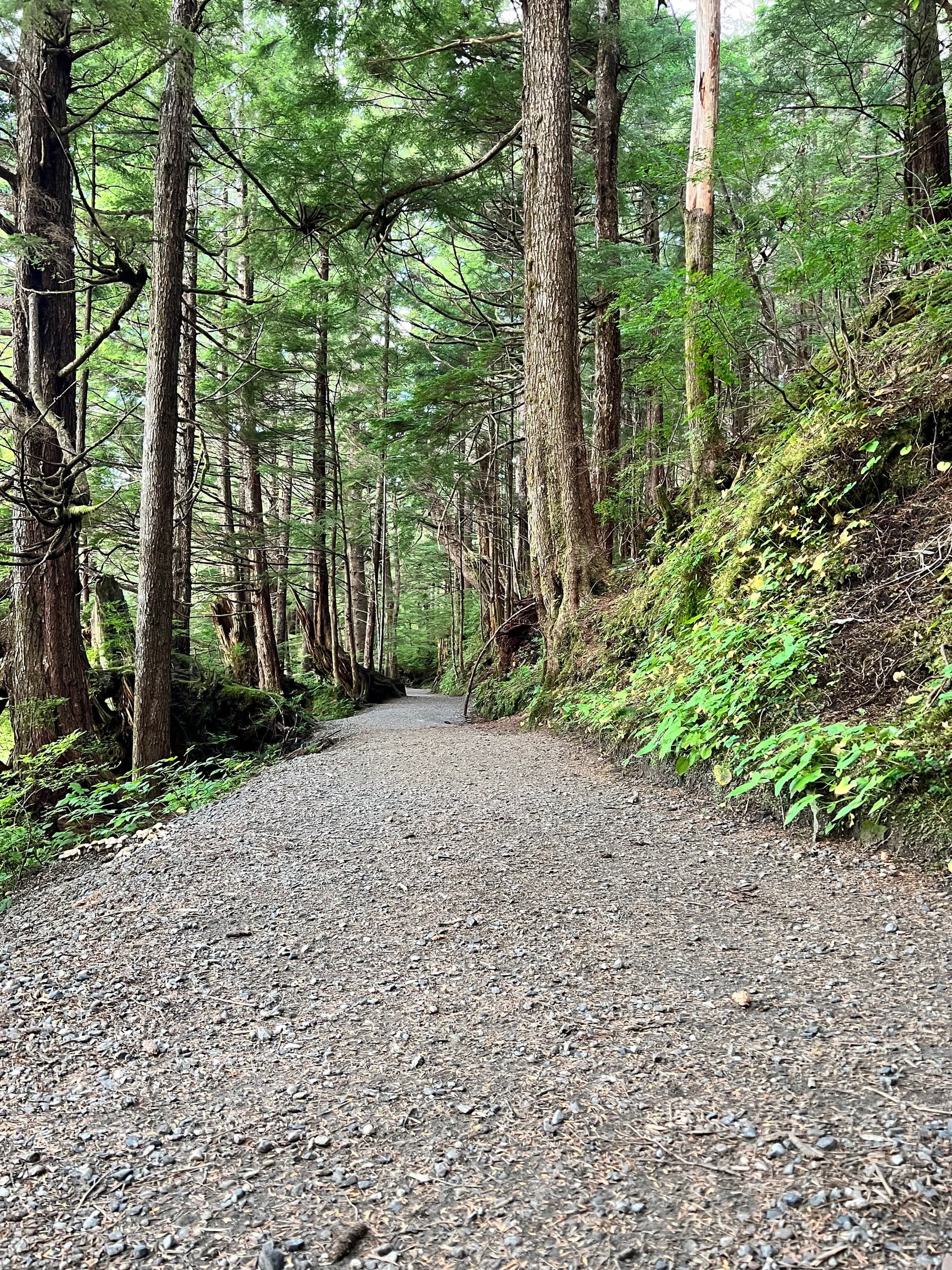 Ward Creek Trail Hike