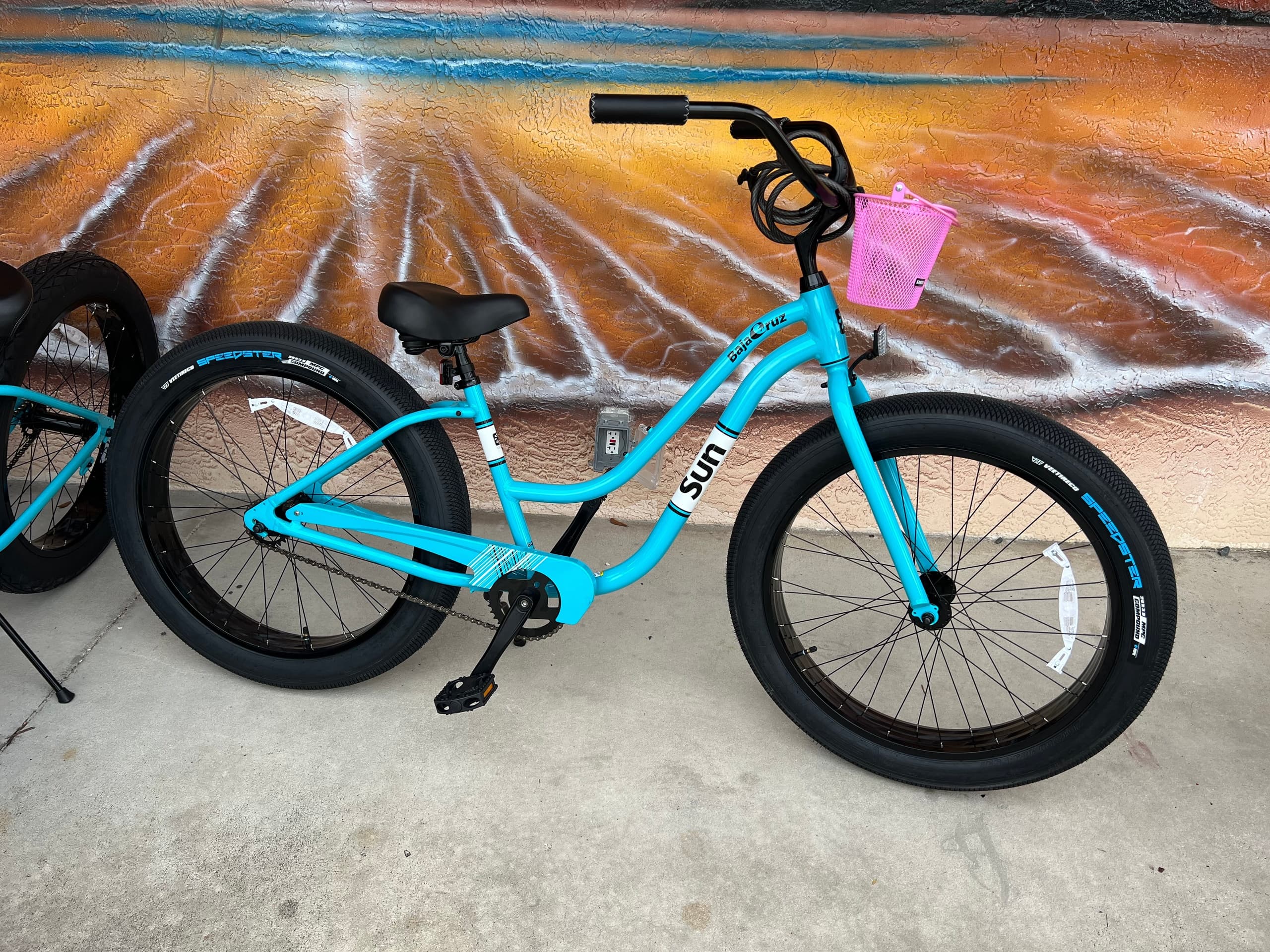 Bicycle Rental