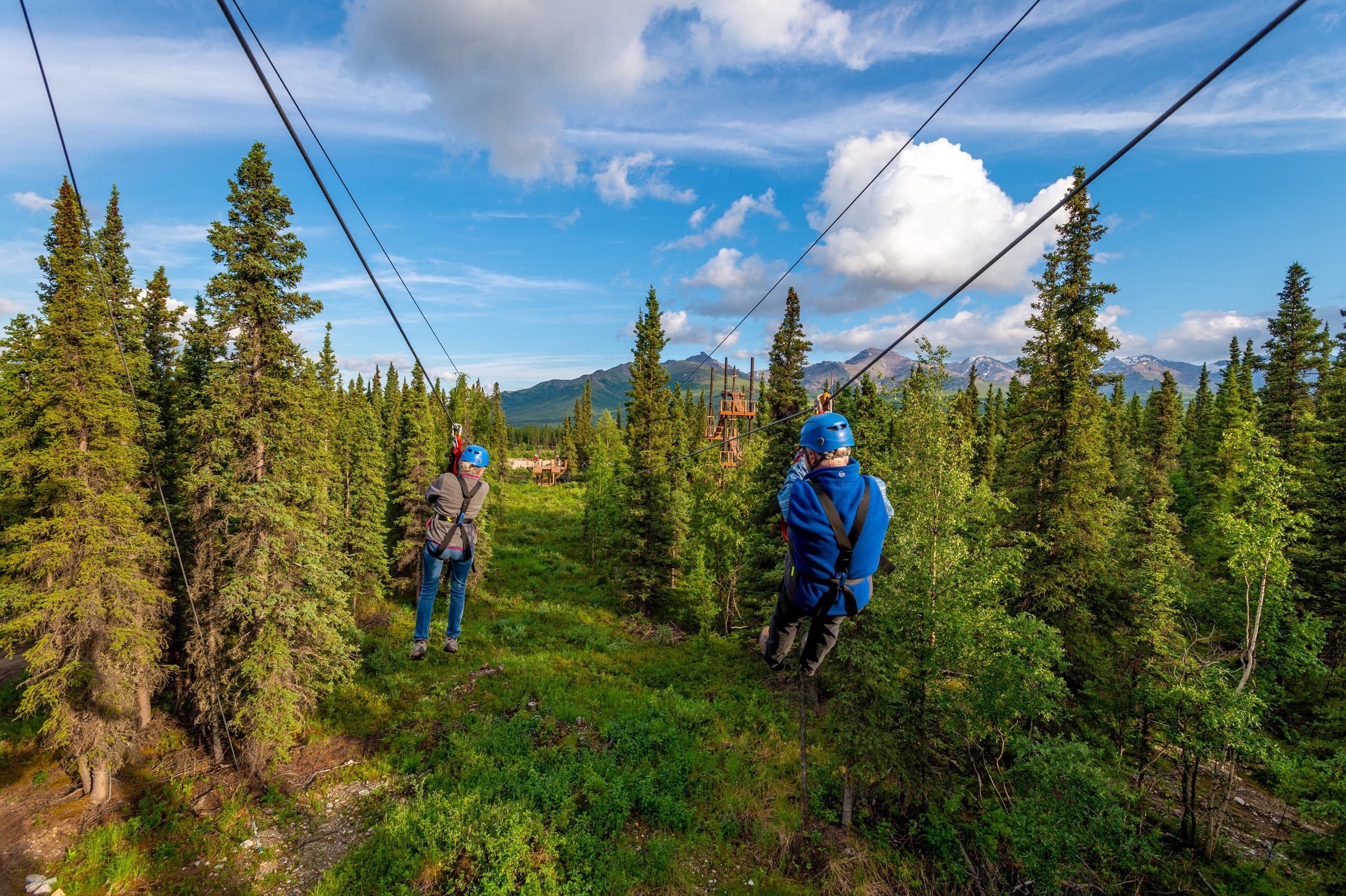 Zipline Tour