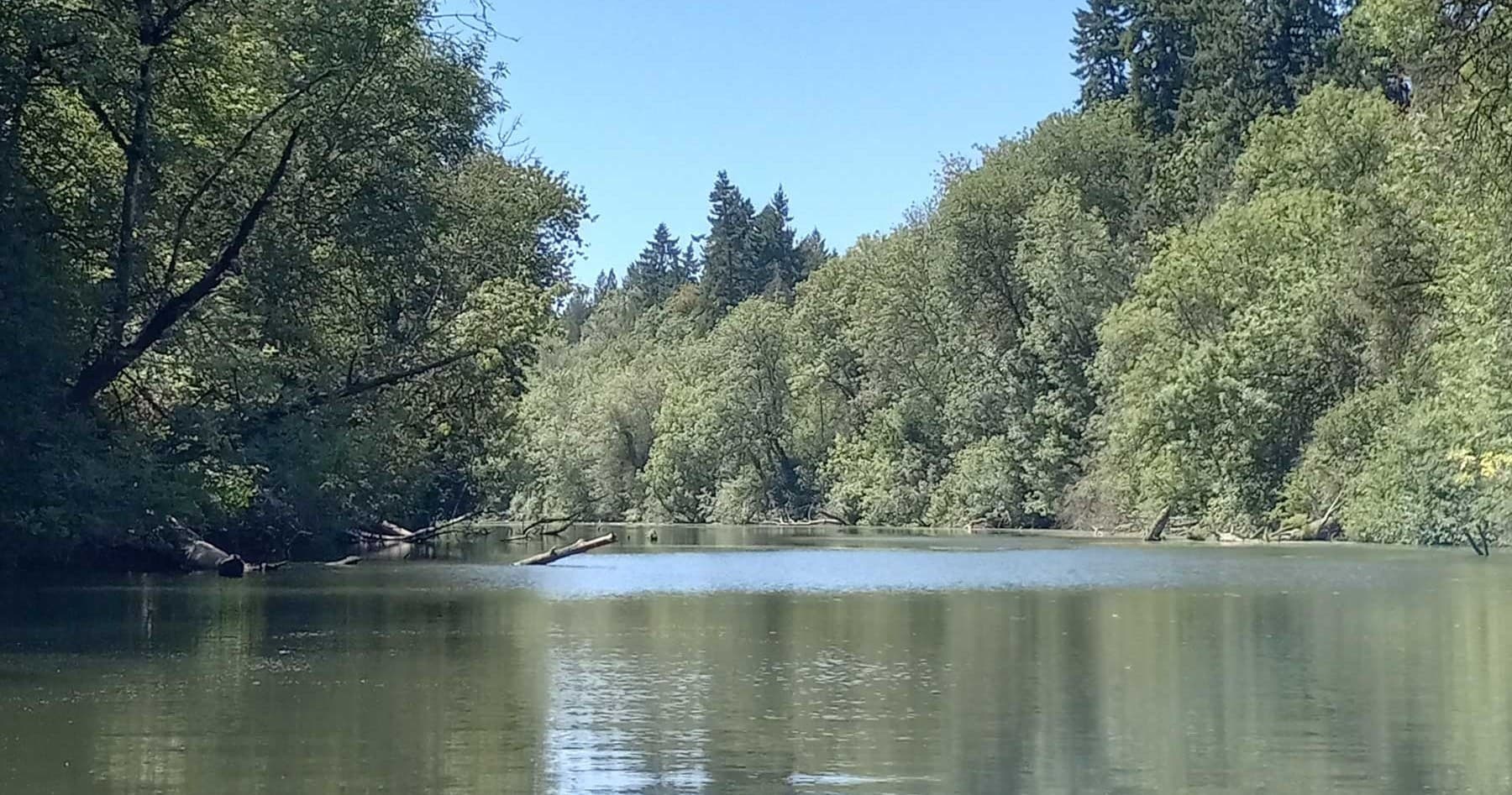 Cook Park Kayak Rental