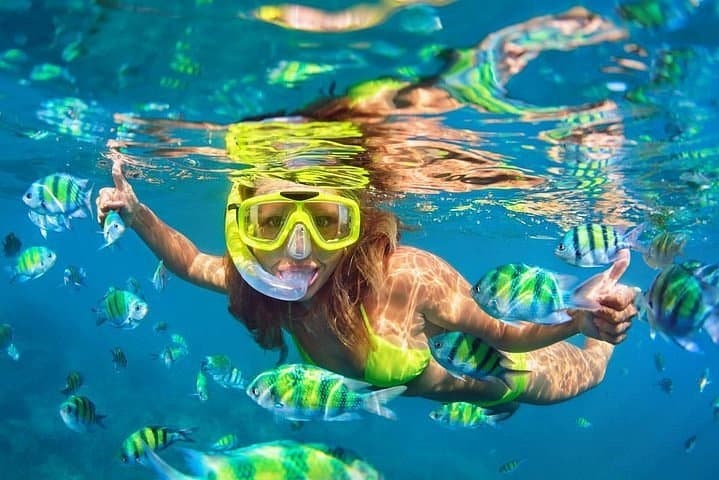 Snorkel Trip