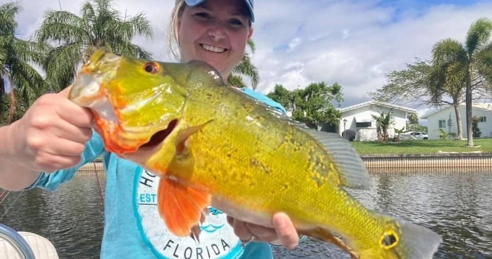 Private Half Day Peacock Bass Fishing Charter | MAX 9 Sportsmen Per Reservation